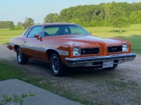 1974 Pontiac LeMans for sale in Michigan (ID-108466)