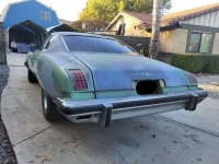 1974 Pontiac LeMans for sale in Michigan (ID-123733)