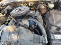 1974 Pontiac LeMans for sale in Michigan (ID-123733)