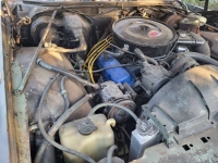 1974 Pontiac LeMans for sale in Michigan (ID-123733)