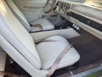 1974 Pontiac LeMans for sale in Michigan (ID-123733)