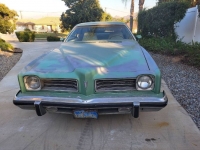 1974 Pontiac LeMans for sale in Michigan (ID-123733)