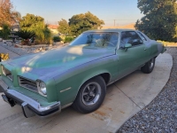1974 Pontiac LeMans for sale in Michigan (ID-123733)