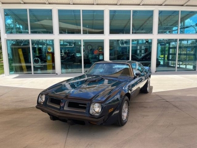 1974 Pontiac Trans Am for sale