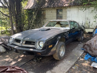 1974 Pontiac Trans Am for sale at $9,995