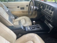 1974 Pontiac Trans Am for sale in Michigan (ID-144403)