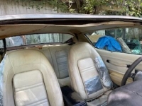 1974 Pontiac Trans Am for sale in Michigan (ID-144403)