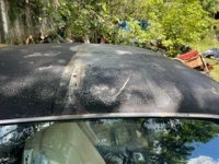 1974 Pontiac Trans Am for sale in Michigan (ID-144403)