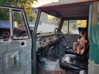 1974 Toyota Land Cruiser for sale in Michigan (ID-135657)