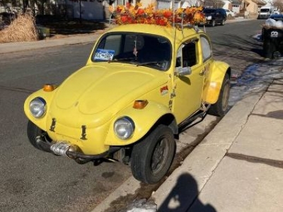 1974 Volkswagen Beetle for sale