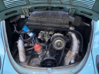 1974 Volkswagen Beetle for sale in Michigan (ID-116894)