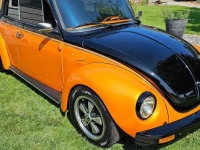 1974 Volkswagen Beetle for sale in Michigan (ID-122028)