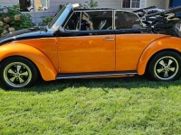 1974 Volkswagen Beetle for sale in Michigan (ID-122028)