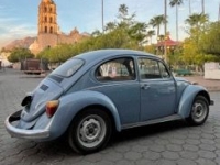 1974 Volkswagen Beetle for sale in Michigan (ID-123758)