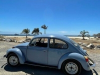 1974 Volkswagen Beetle for sale in Michigan (ID-123758)
