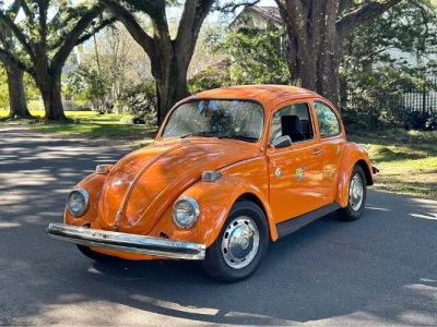 1974 Volkswagen Beetle for sale