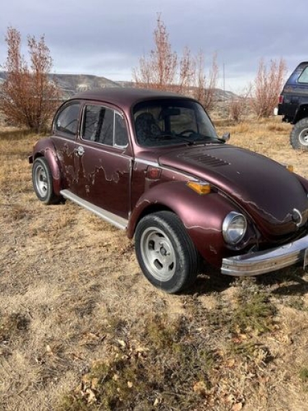 1974 Volkswagen Beetle for sale in Michigan (ID-138802)
