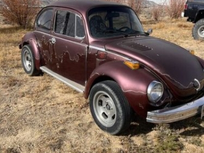 1974 Volkswagen Beetle for sale