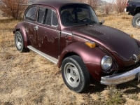 1974 Volkswagen Beetle for sale in Michigan (ID-138802)