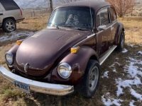 1974 Volkswagen Beetle for sale in Michigan (ID-138802)
