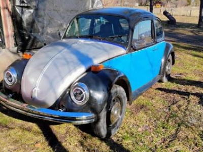 1974 Volkswagen Beetle for sale