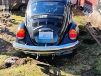 1974 Volkswagen Beetle for sale in Michigan (ID-140469)