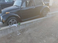 1974 Volkswagen Beetle for sale in Michigan (ID-145563)