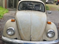1974 Volkswagen Beetle for sale in Michigan (ID-161088)