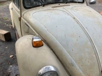 1974 Volkswagen Beetle for sale in Michigan (ID-161088)