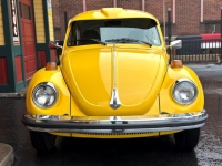 1974 Volkswagen Super Beetle for sale in Riverhead, New York (ID-124092)