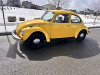 1974 Volkswagen Super Beetle for sale in Michigan (ID-126295)