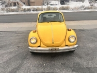 1974 Volkswagen Super Beetle for sale in Michigan (ID-126295)