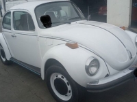 1974 Volkswagen Super Beetle for sale in Michigan (ID-137204)