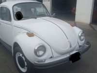 1974 Volkswagen Super Beetle for sale in Michigan (ID-137204)