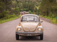 1974 Volkswagen Super Beetle for sale in Michigan (ID-143782)