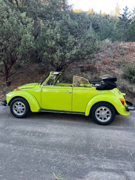 1974 Volkswagen Super Beetle for sale in Michigan (ID-163373)