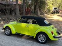 1974 Volkswagen Super Beetle for sale in Michigan (ID-163373)