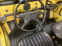 1974 Volkswagen Thing for sale in Michigan (ID-143353)
