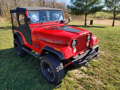 1975 AMC Jeep for sale