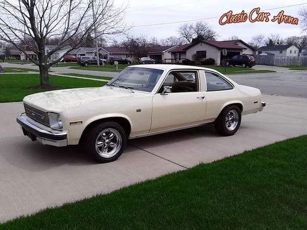 1975 Chevrolet Nova for sale in Michigan (ID-21274)