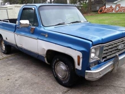 1975 Chevrolet 1500 for sale