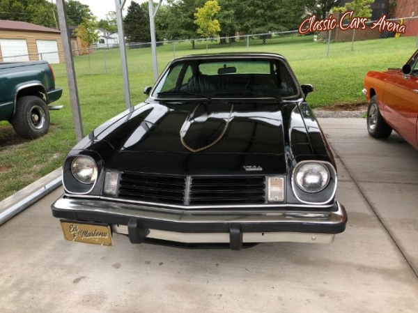 1975 Chevrolet Cosworth for sale in Michigan (ID-43186)