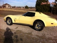 1975 Chevrolet Corvette for sale in Texas (ID-44624)