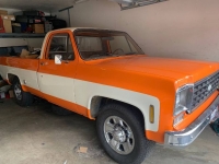 1975 Chevrolet C20 for sale in Michigan (ID-89262)