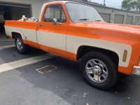 1975 Chevrolet C20 for sale in Michigan (ID-89262)