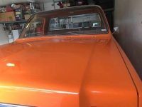 1975 Chevrolet C20 for sale in Michigan (ID-89262)