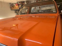 1975 Chevrolet C20 for sale in Michigan (ID-89262)