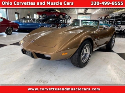 1975 Chevrolet Corvette for sale