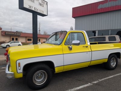 1975 Chevrolet 1/2 Ton for sale