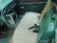 1975 Chrysler Scamp for sale in Indiana (ID-73912)